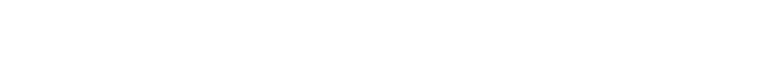 big_logo